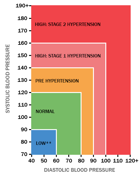 Image shows a BP chart